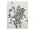Spinel 5X Super - стоматологический фрезерный станок Spinel 5X Super - стоматологический фрезерный станок
